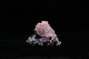 Rare Pink rose calcite (Orange UV Light) with clear quartz on black tourmaline
