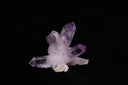 Vera Cruz Amethyst