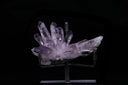 Vera Cruz Amethyst
