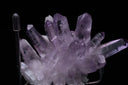 Vera Cruz Amethyst