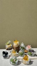 Grow Your Crystal Garden